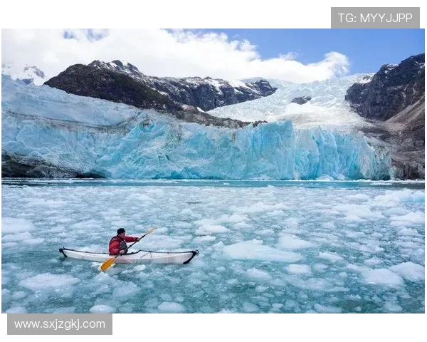 追寻绿茵传奇：当代足球球星成长历程与未来潜力全景解析